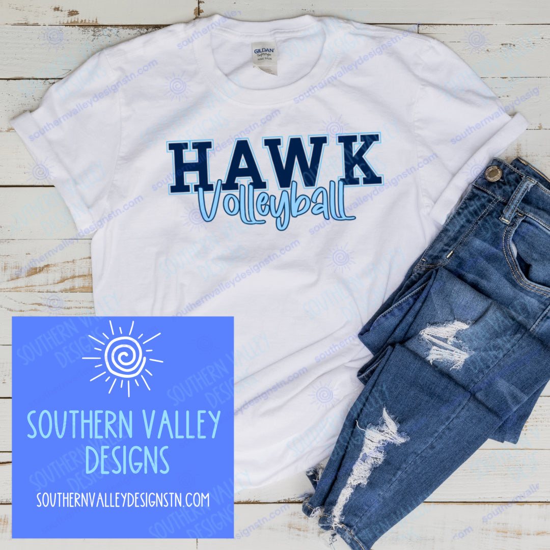 Hawk Volleyball Design 2